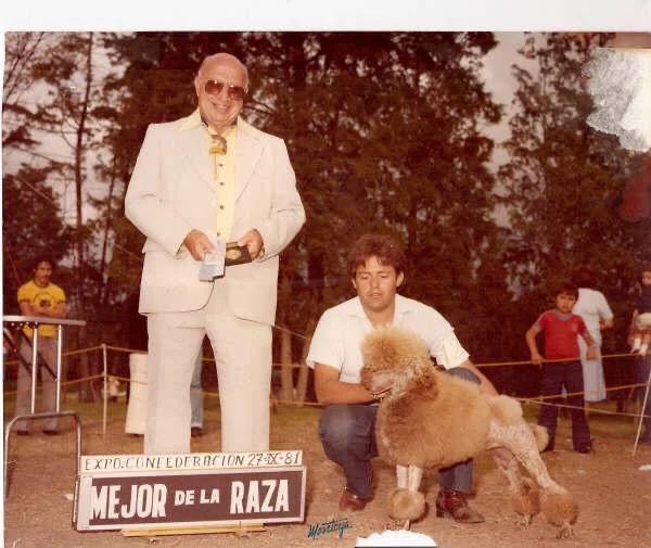 fabelas-kennel-canofilia-campeones-estetica-canina-2