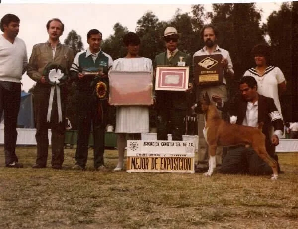 fabelas-kennel-canofilia-campeones-estetica-canina-3