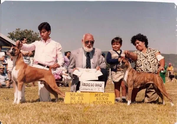 fabelas-kennel-conocenos-campeones-canofilia-3