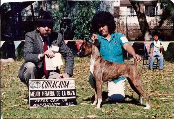 fabelas-kennel-conocenos-campeones-canofilia